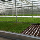 Green City Growers - Greenhouse Builders & Equipment