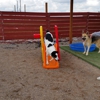 Weona Pet Resort gallery