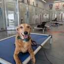 Paws 'n' Rec - Lake Mead