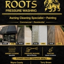 Roots Pressure Washing - Power Washing