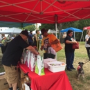 Paws on Chicon - Pawnbrokers