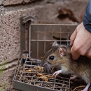 Abbott Pest Control - Pest Control Equipment & Supplies