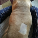 PetLife Animal Hospital - Veterinary Clinics & Hospitals
