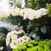 Seulberger's Florist & Gifts gallery