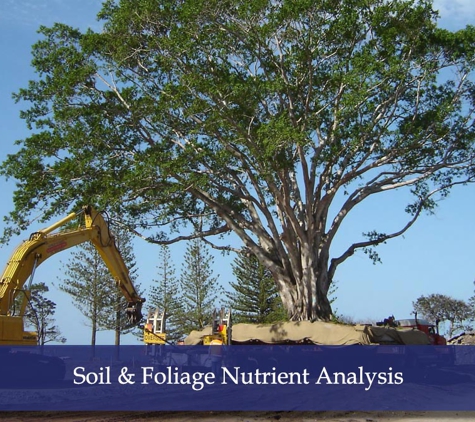 The Tree Doctor (Qld) Pty Ltd - Everton Hills, QLD. Soil & Foliage Nutrient Analysis