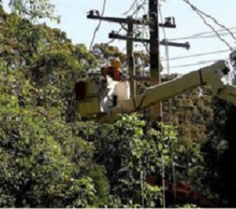 3Way Tree Services Pty Ltd - Malvern East, VIC
