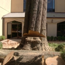 Ricci Linns Southern Pride Tree Care & Removal - Tree Service