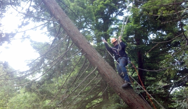 Cutting Edge Tree Service and Solutions - McKinleyville, CA