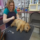 Groomingdales Pet Salon - Pet Grooming