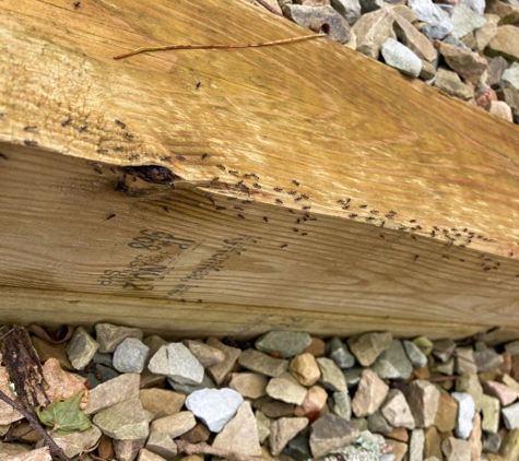 Advanced Termite & Pest Control - Crossville, TN