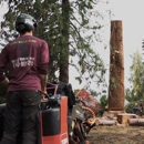 Pacific Arboriculture - Arborists