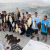 Celtic Quest Fishing Party/Charter Boat gallery