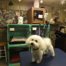 Grapevine Grooming Shop - Pet Grooming