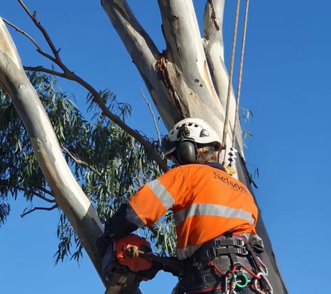 Nelson's Tree Services