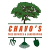 Chavos Tree Service & Landscaping gallery
