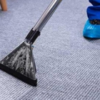 Magic Carpet Steam Cleaning