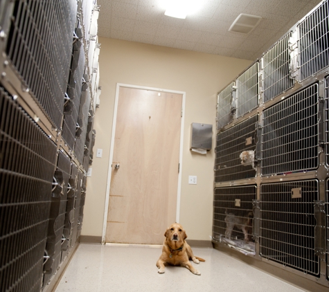 VCA Murrayhill Veterinary Hospital - Beaverton, OR. DOG WARD