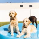 The Watering Bowl - Dog Day Care