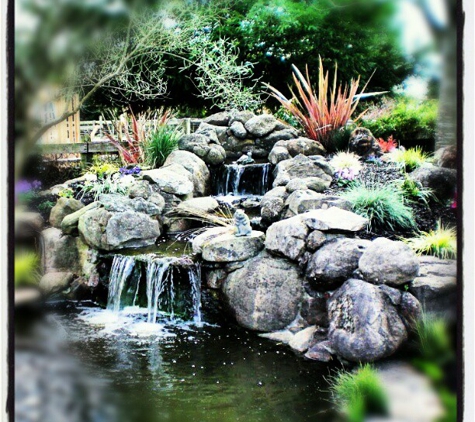 Poteracke Landscape Design & Build - Sebastopol, CA