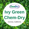 Ivy Green Chem-Dry gallery