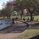 Byrd Park - Parks