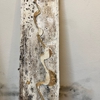 Mold Remediation Boca Raton gallery