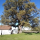 Cassity Tree Service and Care