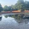 Wise County Land Clearing Services gallery
