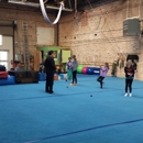 MSA & Circus Arts - Gymnastics Instruction