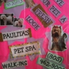 Paulita Pet Spa gallery