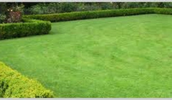 Bundaberg Turf Supplies - Meadowvale, QLD