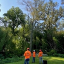 Jay Z Tree Service LLC - Tree Service