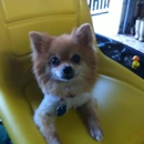 Banfield Pet Hospital - Pet Services