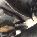 Directparts - Recreational Vehicles & Campers-Repair & Service