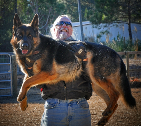 ICNDF Dog Training Center - Saint Augustine, FL