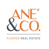 Ané & Co. Florida Real Estate | Horse & Home Estates gallery