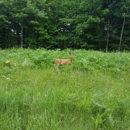 Savanna Portage State Park - State Parks