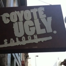 Coyote Ugly Saloon - Bars