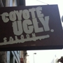 Coyote Ugly Saloon