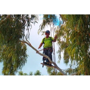 Remote Area Tree Services - Virginia, NT