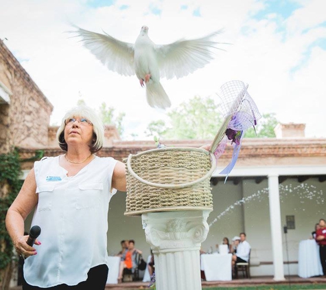 Enchanting White Doves