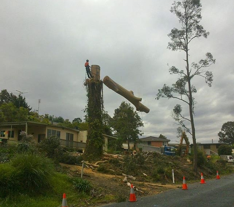 Snowy Mountains Tree Service Pty Limited - Cooma, NSW