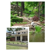 Gallery Image Number 2