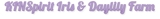 KINSpirit Iris & Daylily Farm - Nursery & Garden Supplies Wholesale
