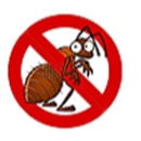 Hampshire Pest Control - Pest Control Services