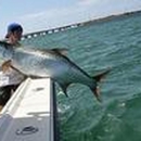 Catch 'Em All Sportfishing - Fishing Charters & Parties