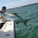 Catch 'Em All Sportfishing - Tourist Information & Attractions