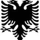 Albanian Bail Bonds