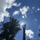 Earthworks Tree Services, INC