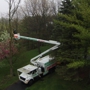 Accurate Tree Service LLC